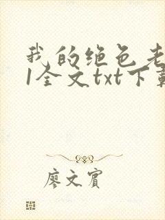 我的绝色老板娘1全文txt下载