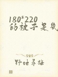 180*220的被子是几乘几