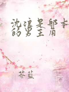 沈浪是那本小说的男主角