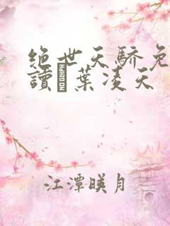 绝世天骄免费阅读·叶凌天