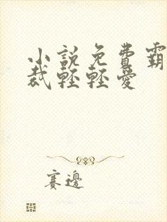 小说免费霸道总裁轻轻爱