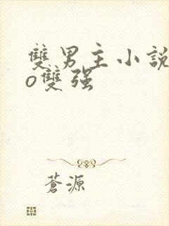 双男主小说abo双强