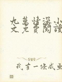 九万情深小说全文免费阅读无弹窗