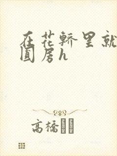 在花轿里就开始圆房h