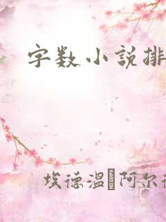 字数小说排行榜