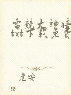 电竞大神暗恋我txt下载免费