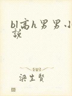 bl高h男男小说