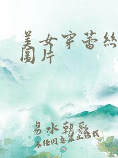 美女穿蕾丝内裤图片