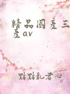 精品国产三级国产av