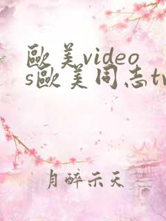欧美videos欧美同志tv