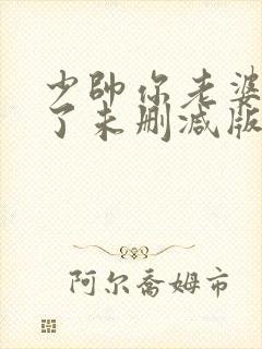 少帅你老婆又跑了未删减版