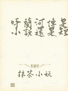 呼兰河传是长篇小说还是短篇小说