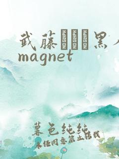 武藤あやか黑人magnet