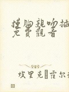 摸胸亲吻插视频免费观看