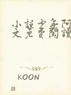 小说少年阿斌全文免费阅读