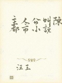 主人公叫陈南的都市小说