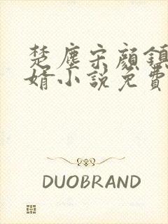 楚尘宋颜镇国神婿小说免费阅读