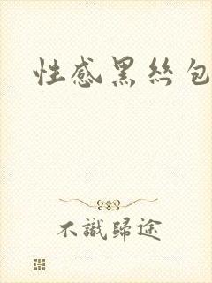 性感黑丝包臀
