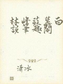 林峰苏慕白的小说笔趣阁