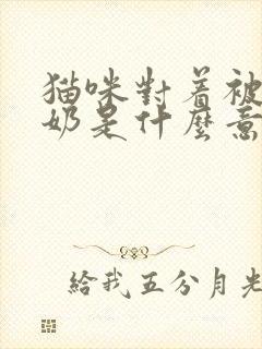 猫咪对着被子踩奶是什么意思