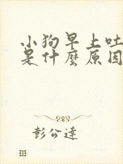 小狗早上吐白沫是什么原因