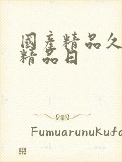 国产精品久久久精品日