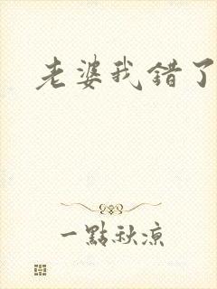 老婆我错了小说