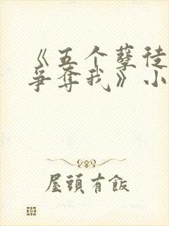 《五个孽徒都想争夺我》小说