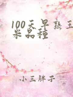 100天早熟玉米品种