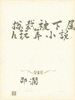 总裁被下属调教h玩弄小说