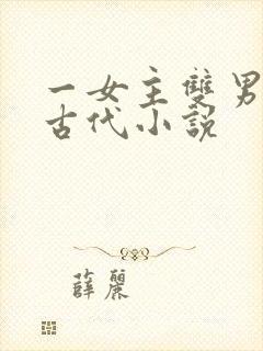 一女主双男主的古代小说