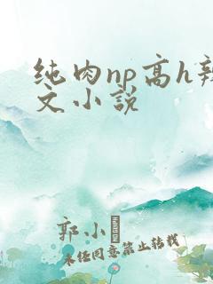 纯肉np高h辣文小说