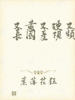 又黄又硬又粗又长国产视频