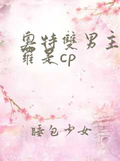 奥特双男主与赛罗是cp