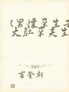 (男怀孕生子)大肚孕夫生生生小说