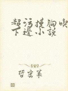 超污摸胸吃奶舔下边小说