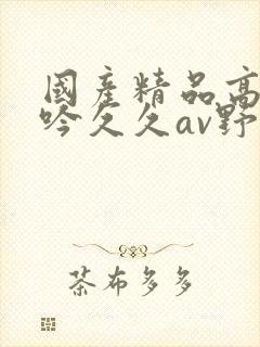 国产精品高潮呻吟久久av野狼