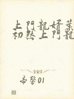 上门龙婿叶辰萧初然上门龙婿