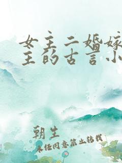 女主二婚嫁给男主的古言小说