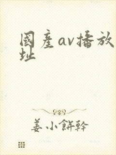 国产av播放网址