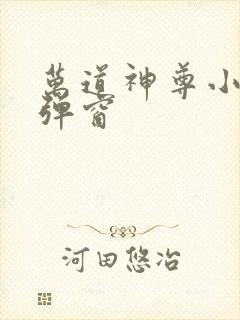 万道神尊小说无弹窗