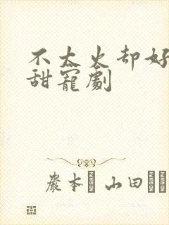 不太火却好看的甜宠剧