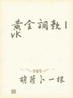 黄金调教 | vk