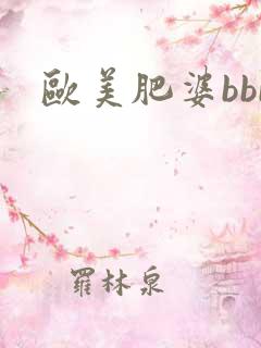 欧美肥婆bbb