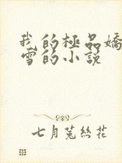 我的极品娇妻沈雪的小说