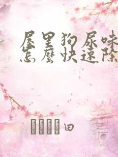 屋里狗尿味太重怎么快速除去