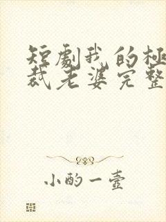 短剧我的极品总裁老婆完整版在线看完