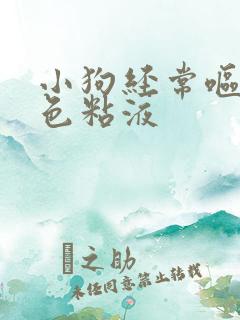 小狗经常呕吐白色粘液