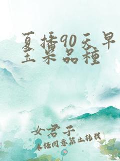 夏播90天早熟玉米品种