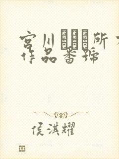 宫川ありさ所有作品番号